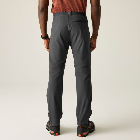 Чоловічі штани Regatta Mountain Z/O Trousers