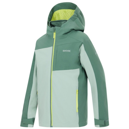 Дитяча куртка Regatta Boys Trekktain 3-in-1 II DrkForGlac
