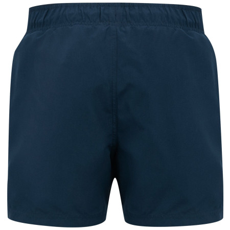 Плавки Regatta Mawson Swim Shorts III