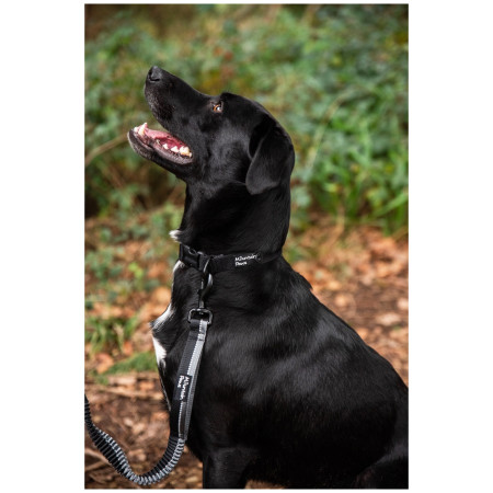 Нашийник для собаки Mountain Paws Extra Tough Dog Collar