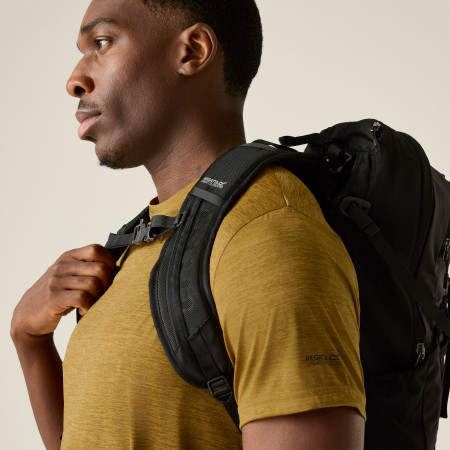 Чоловіча футболка Regatta Fingal Edition