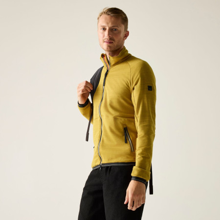 Чоловіча толстовка Regatta Malton