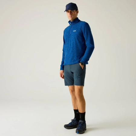 Чоловічі шорти Regatta Xert Stretch Shorts