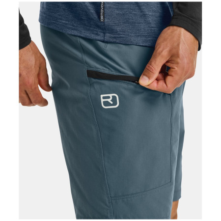 Чоловічі шорти Ortovox Pelmo Shorts M