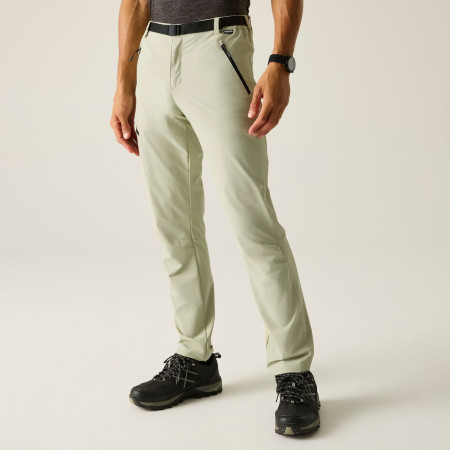 Чоловічі штани Regatta Xert Stretch Trousers