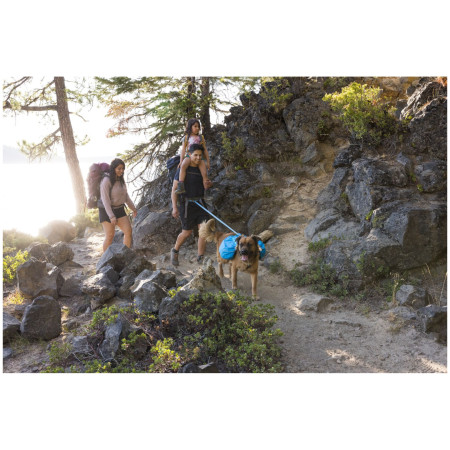 Рюкзак для собаки Ruffwear Approach™ Pack