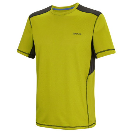 Чоловіча футболка Regatta Virda