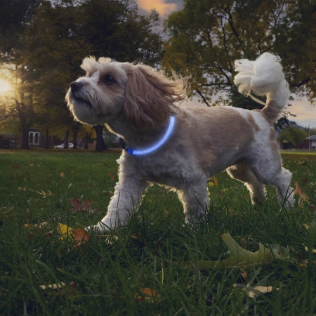 Світловий нашийник для собаки Nite Ize NiteHowl® Rechargeable LED Safety Necklace
