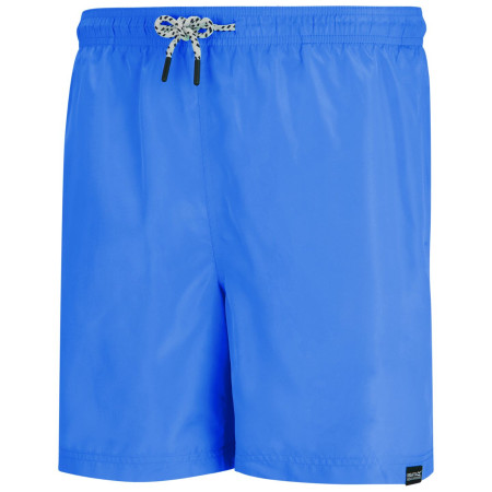 Чоловічі шорти Regatta Mackleyna Swim Short