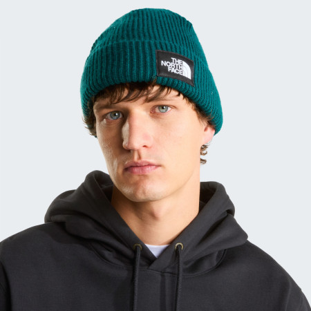 Шапка The North Face Salty Lined Beanie