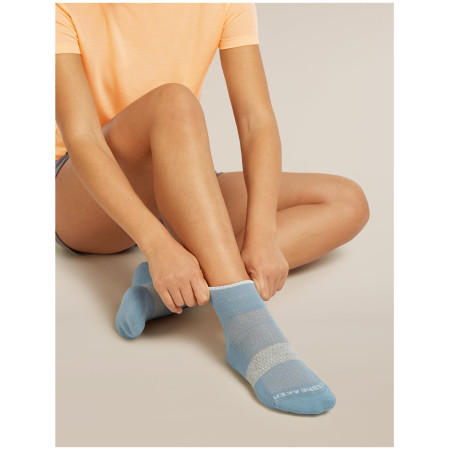 Жіночі шкарпетки Icebreaker Women Multisport Light Mini