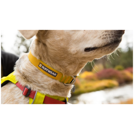 Нашийник для собаки Ruffwear Hi & Light™ Collar