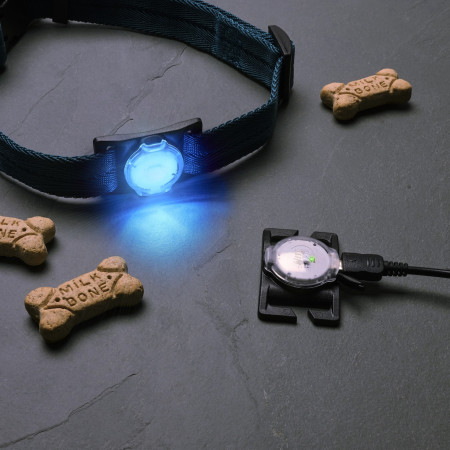 Ліхтарик для собаки Nite Ize NiteDog™ Rechargeable Pet Light