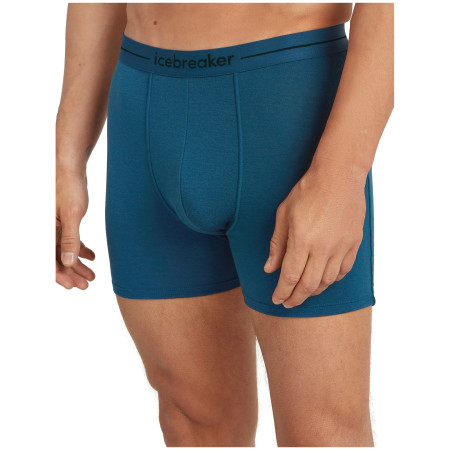 Чоловічі боксери Icebreaker Men Merino 150 Anatomica Boxers