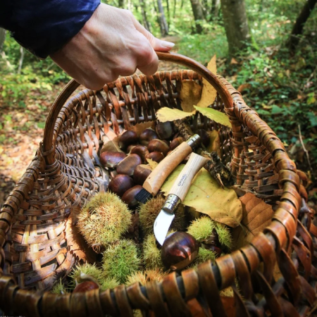 Складаний ніж Opinel N°07 Inox