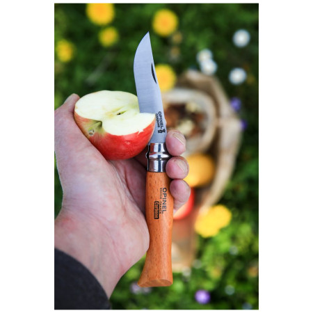 Складаний ніж Opinel N°04 Carbon