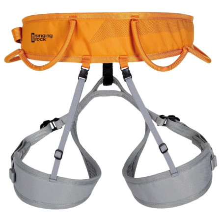 Система Singing Rock Ray