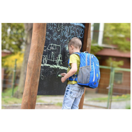 Шкільний рюкзак для 1-го ступеня Boll School Mate 20 Crabs