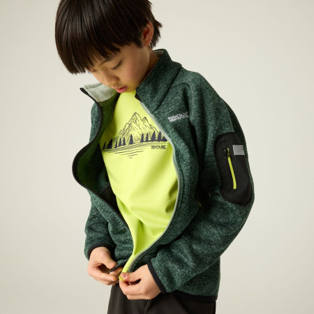 Дитяча толстовка Regatta Junior Newhill DrkForGlacGr