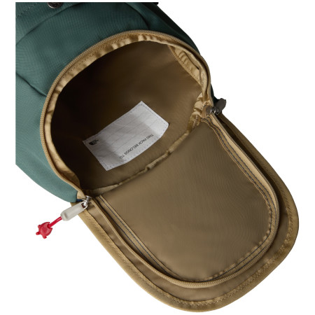 Дитячий рюкзак The North Face Y Mini Explorer