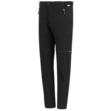 Чоловічі штани Regatta Mountain Z/O Trousers