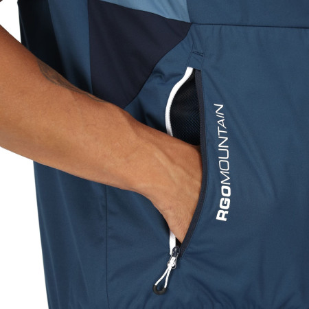 Чоловіча жилетка Regatta Lankin V