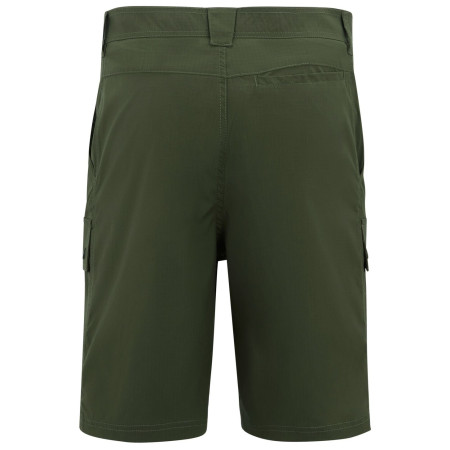 Чоловічі шорти Regatta Arlery Shorts