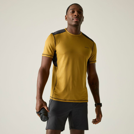 Чоловіча футболка Regatta Virda