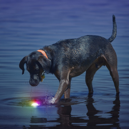 Іграшка для собак Nite Ize Glowstreak LED Ball
