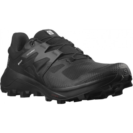 Чоловічі черевики Salomon Wildcross 2 Gore-Tex чорний