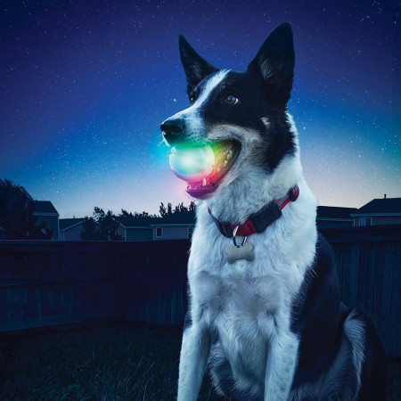 Іграшка для собак Nite Ize Glowstreak LED Ball