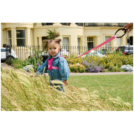 Дитячі віжки LittleLife Toddler Reins Butterfly