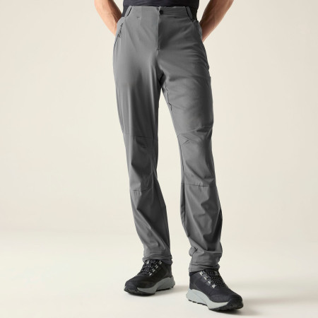 Чоловічі штани Dare 2b Torrek Lite Trouser