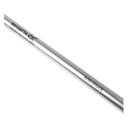 Трекінгова палиця Regatta AS Walk Pole II