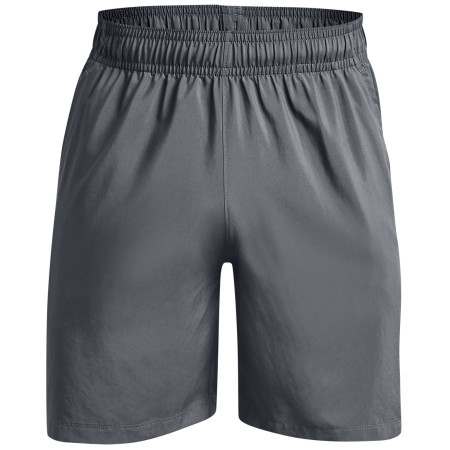 Чоловічі шорти Under Armour Woven Graphic Shorts сірий