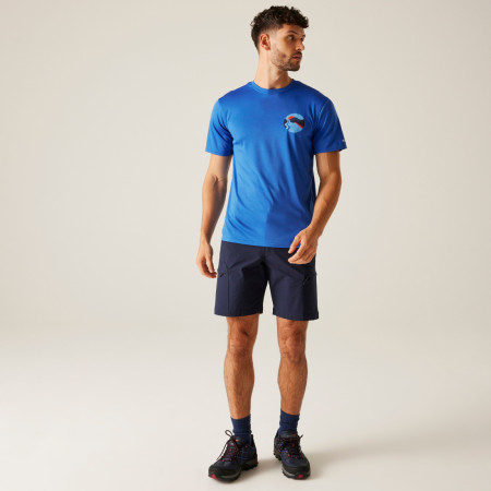 Чоловіча футболка Regatta Fingal IX