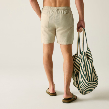 Чоловічі шорти Regatta Hadlin Shorts