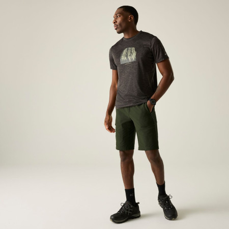 Чоловічі шорти Regatta Highton Shorts Long II