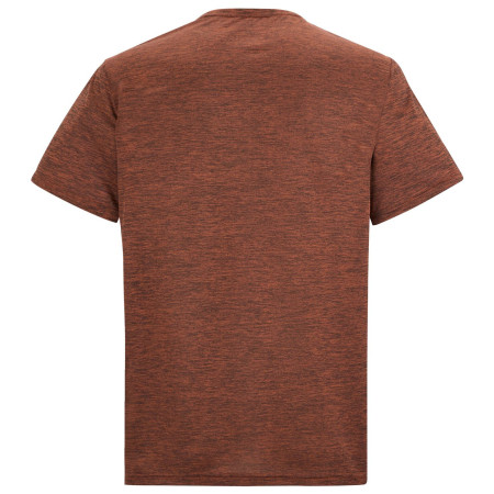 Чоловіча футболка Regatta Fingal Edition