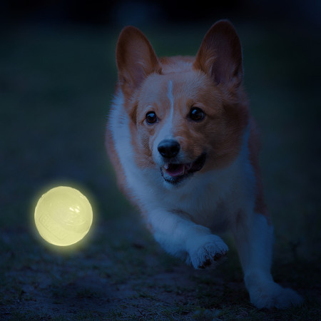 Іграшка для собак Nerf Dog LED launcher Air Strike