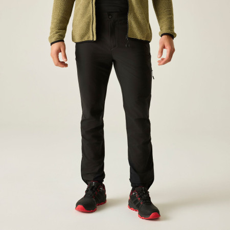 Чоловічі штани Dare 2b Mens Peak Trouser