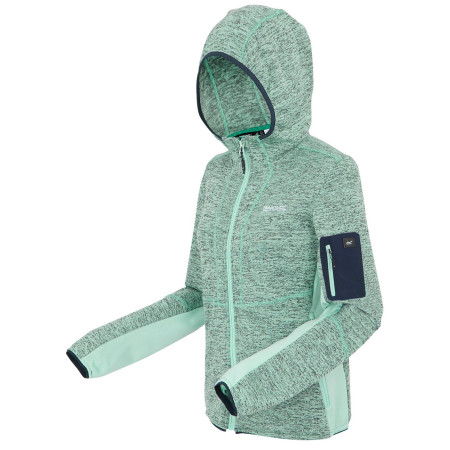 Жіноча толстовка Regatta Kemilia (2025)