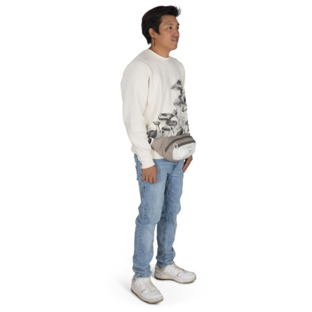 Поясна сумка Osprey Daylite Waist Pack