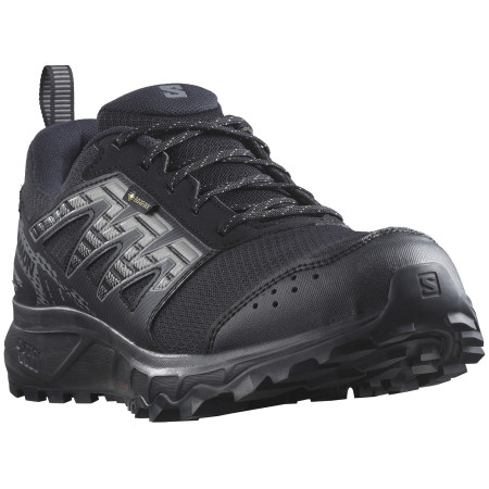 Чоловічі кросівки Salomon Wander Gore-Tex чорний