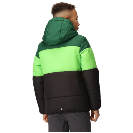 Дитяча куртка Regatta Lofthouse VII