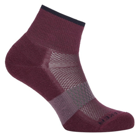 Жіночі шкарпетки Icebreaker Women Multisport Light Mini