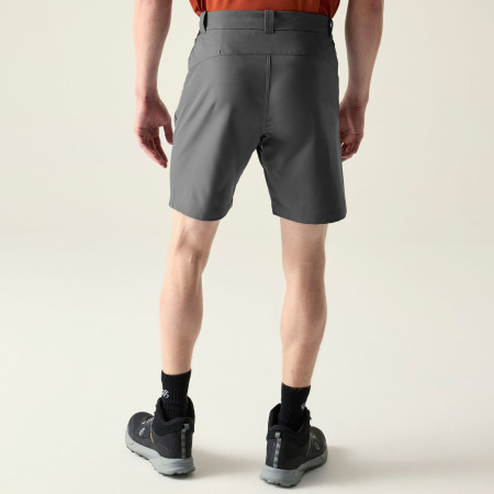 Чоловічі шорти Dare 2b Torrek II Short
