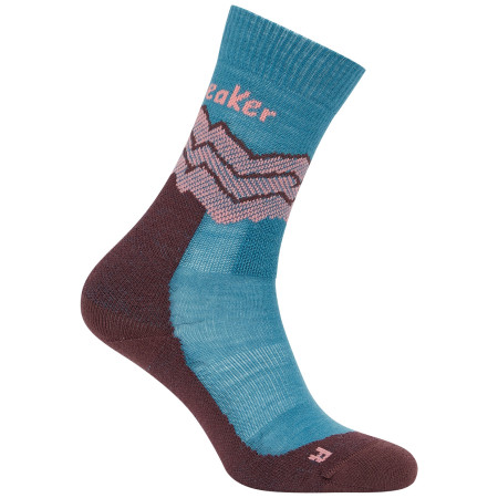 Жіночі шкарпетки Icebreaker Women Merino Hike+ Medium Crew Across the Peaks синій Topa/Jav/Aci Pi