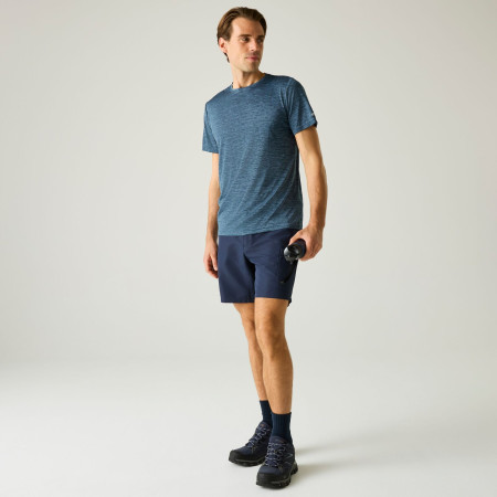 Чоловіча футболка Regatta Fingal Edition