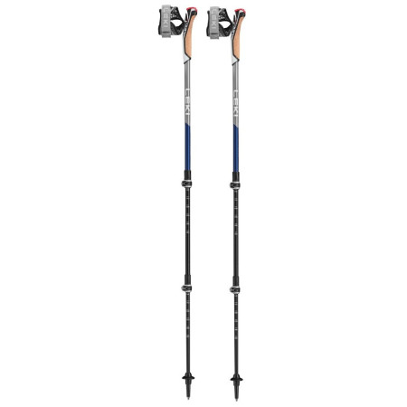 Палиці для скандинавської ходьби Leki Poles Traveller Carbon